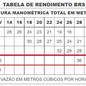 Bomba Rudc BRS-9  7,5cv IP55 Trifásico 220/380v - Imagem 2