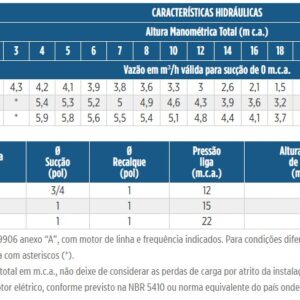 Sistema de pressurização "Schneider" SP-22C 1cv 220v - Imagem 2